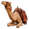 camel