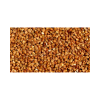 buckwheat