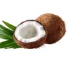coconut