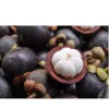 mangosteen