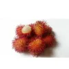 rambutan
