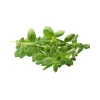 marjoram
