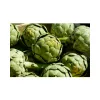 Artichoke