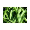 Broad-Beans