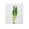 Spring-Onion